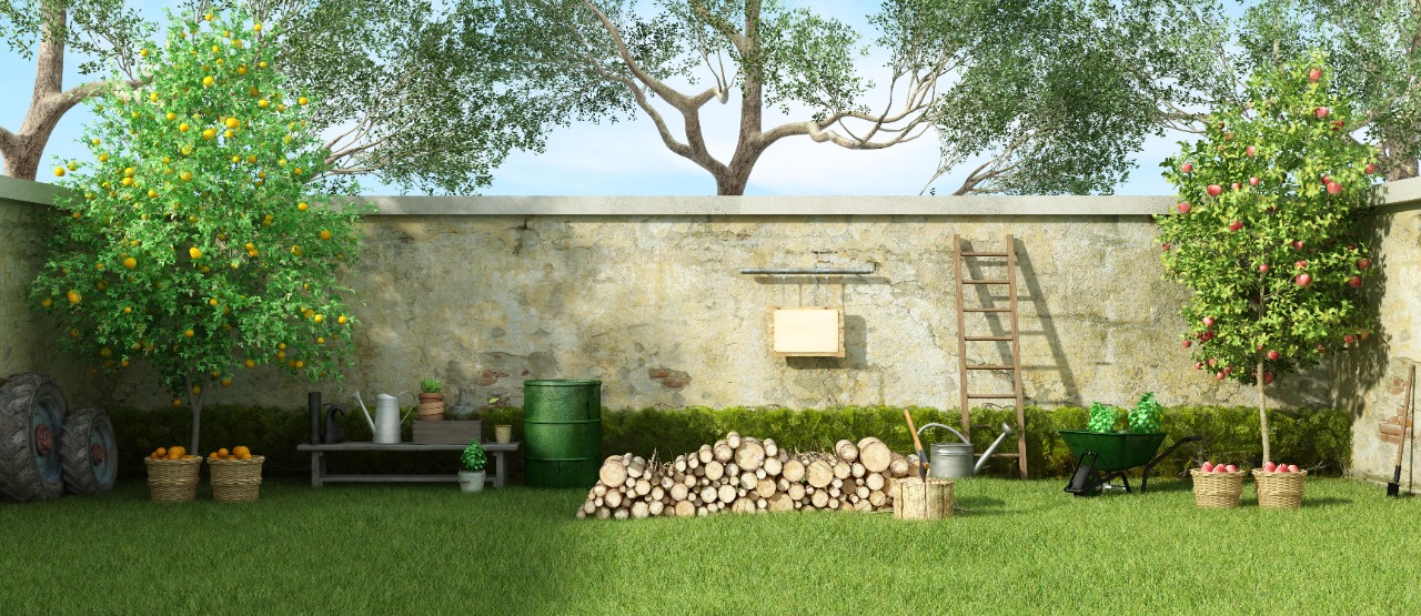 7 Ide Desain Taman Rumah yang Bikin Rumah Tambah Sejuk!