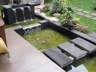 Desain Kolam Ikan Minimalis