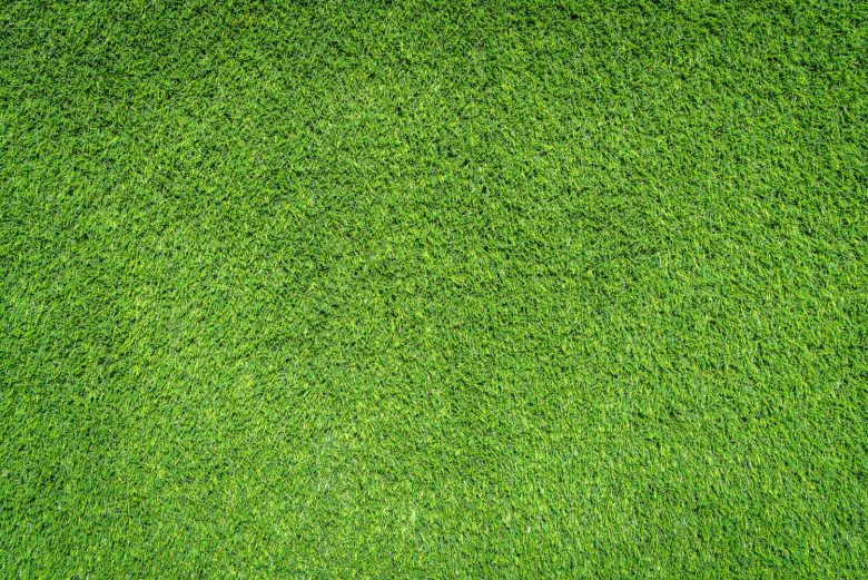 5 Jenis Rumput untuk Halaman Rumah, Cantik dan Asri!