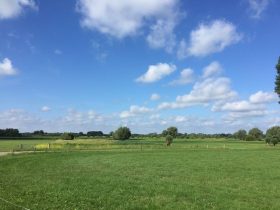 Cara Menghitung Luas Tanah yang Akurat, Ada Banyak Cara!