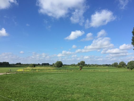 Cara Menghitung Luas Tanah yang Akurat, Ada Banyak Cara! Cara Menghitung Luas Tanah yang Akurat, Ada Banyak Cara!