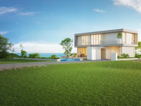 Catat! Inilah Tanaman yang Tidak Boleh Ditanam di Depan Rumah Menurut Fengshui