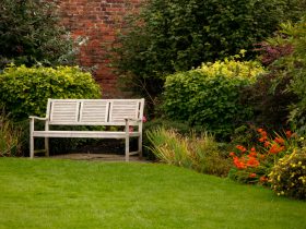 5 Jenis Rumput untuk Halaman Rumah, Cantik dan Asri!