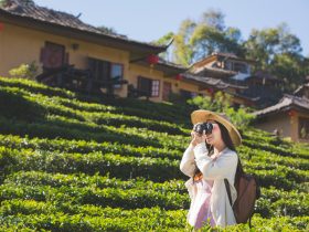 Yuk, Intip Rekomendasi Tempat Wisata Bogor yang Menarik dan Ramah di Kantong!