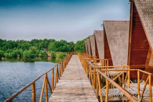 Taman Wisata Alam Mangrove