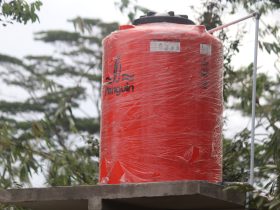 8 Cara Membersihkan Toren Air dari Lumut dengan Sitrun