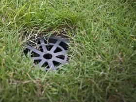 Pengertian dan Manfaat Biopori Dalam Menjaga Lingkungan Rumah