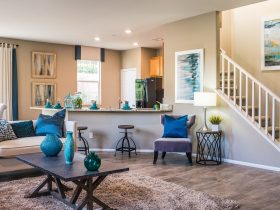 Cara Usir Cicak Dari Rumah, Dijamin Ampuh!