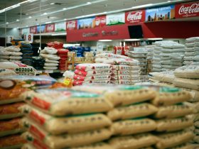 Rekomendasi Bisnis di Kampung yang Menjanjikan