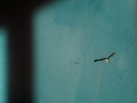 Inilah 7 Cara Memaku Tembok Agar Tidak Pecah