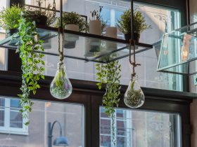 10 Inspirasi Dekorasi Halaman Rumah yang Unik