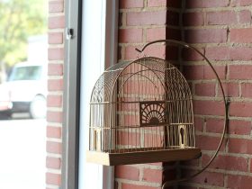 10 Model Kandang Burung di Halaman Rumah 10 Model Kandang Burung di Halaman Rumah