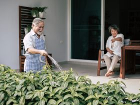 11 Cara Menata Kebun di Halaman Rumah