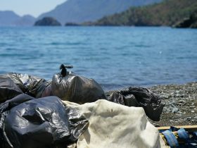 10 Contoh Pencemaran Air: Penyebab, Dampak, dan Cara Mengatasinya