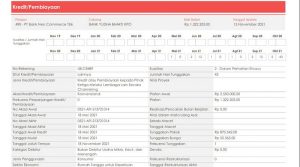contoh-laporan-ideb-slik-ojk