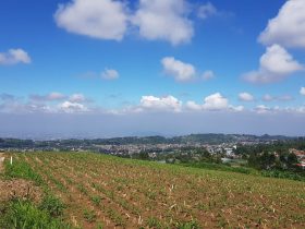 Risiko Membeli Tanah Letter C atau Girik di 2026 Apakah Masih Aman