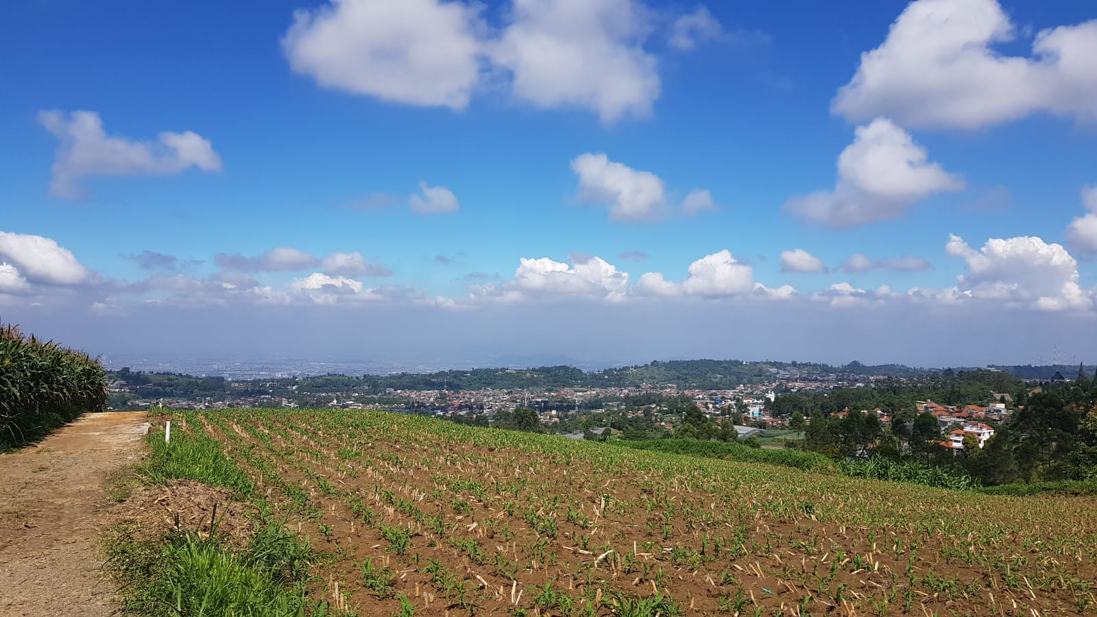 Risiko Membeli Tanah Letter C atau Girik di 2026 Apakah Masih Aman