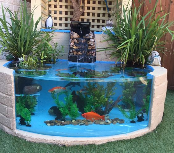 Desain Kolam Ikan Minimalis