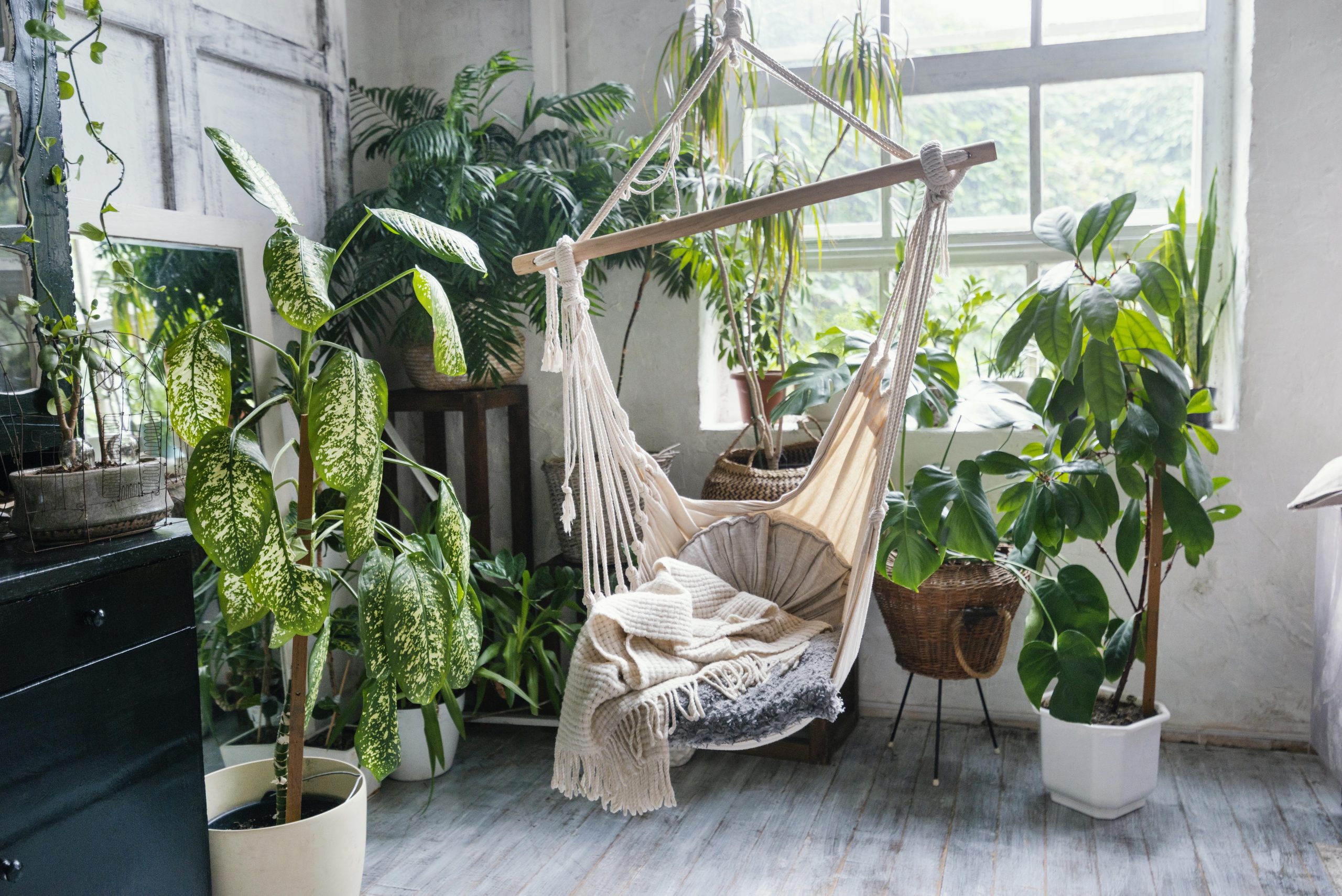 8 Desain Taman Dalam Rumah,  Ide Kreatif untuk Ruang Hijau yang Memukau!