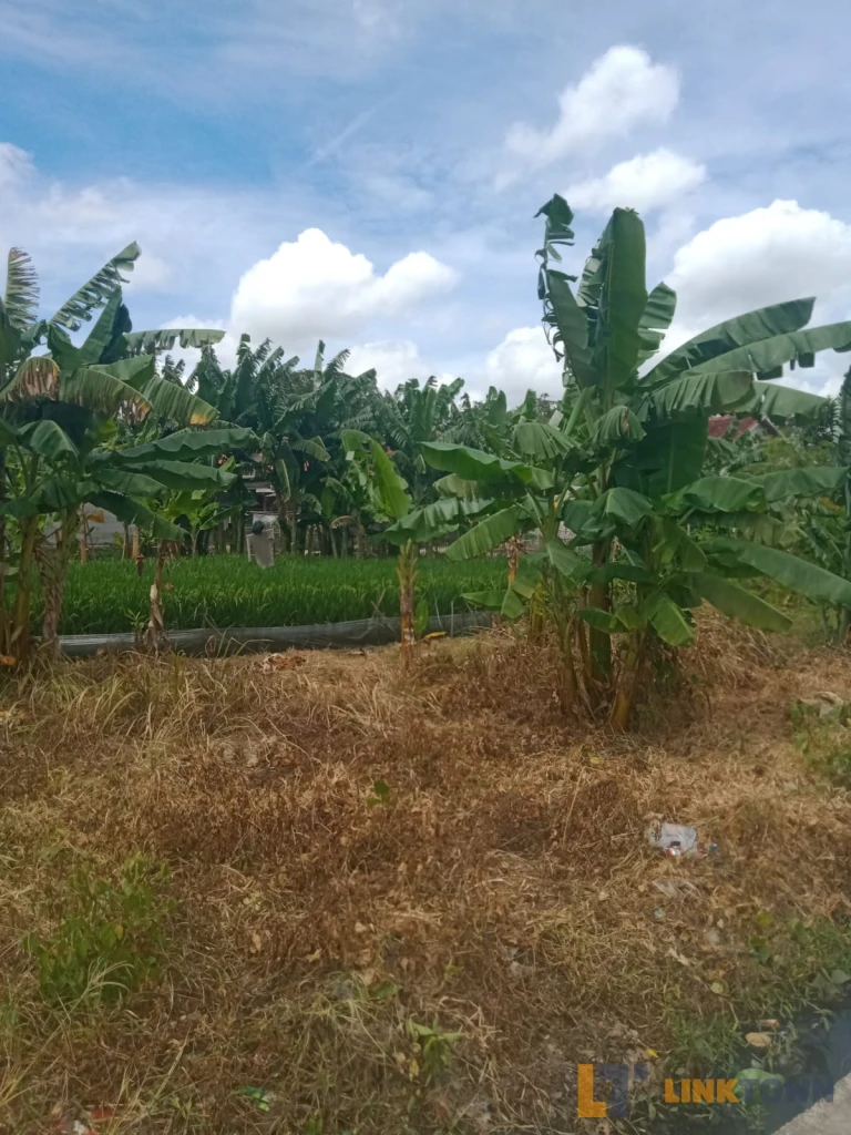 Linktown Tanah Kavling Karawang
