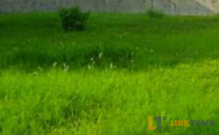 Kavling Siap Bangun Pakuwon Indah Grand Golf Surabaya Barat