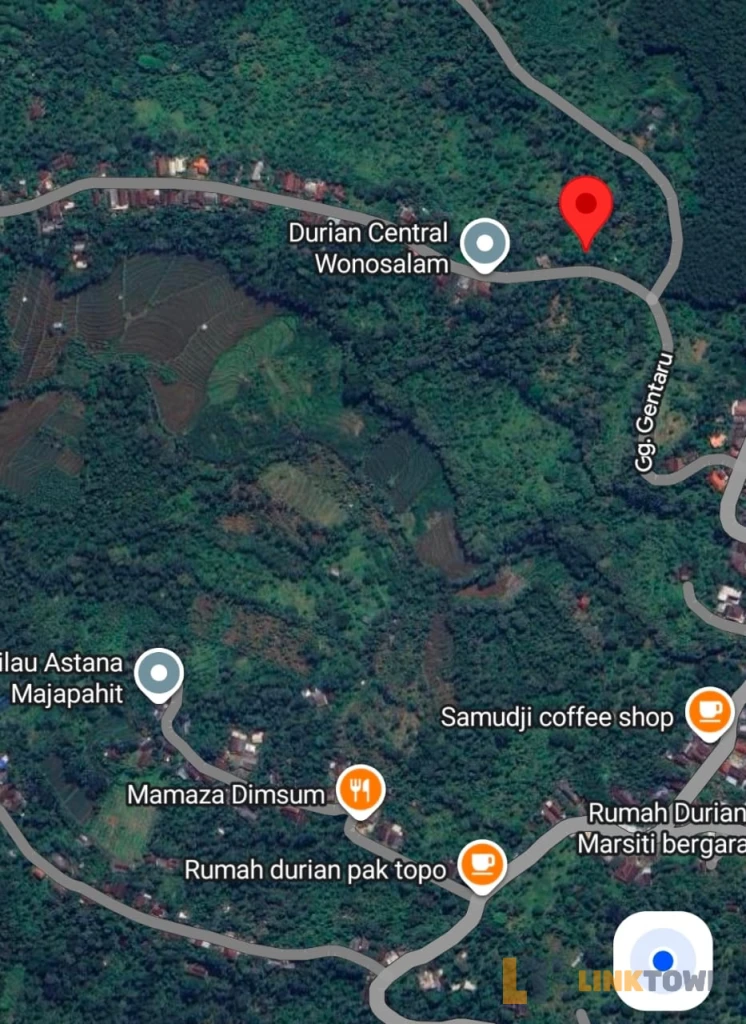 Tanah Perkebunan Siap Olah Wonosalam Jombang