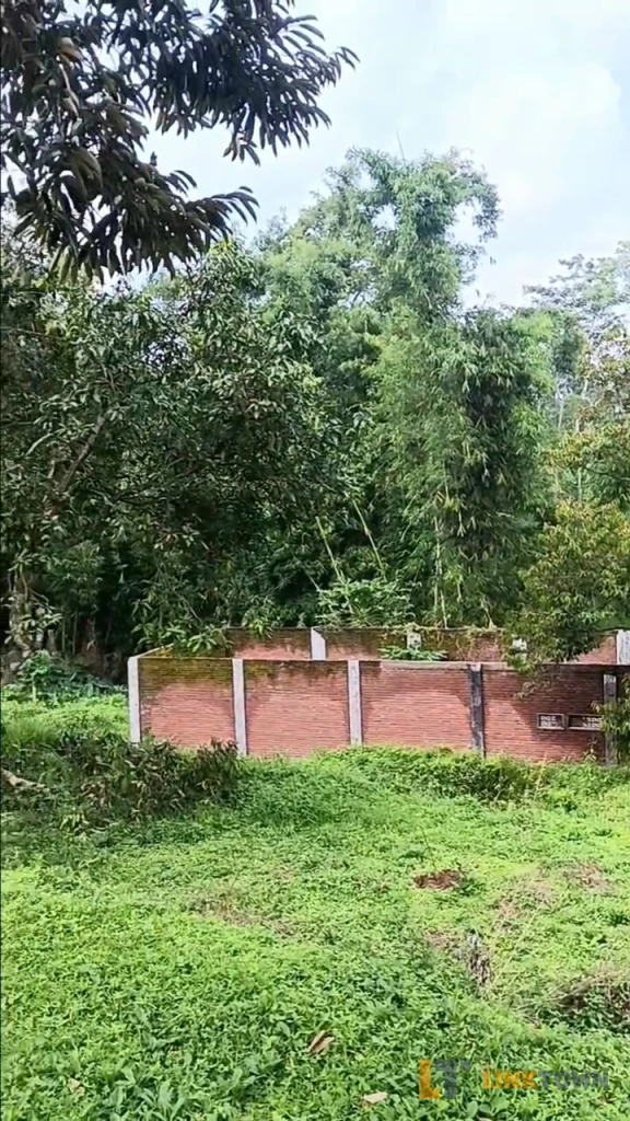 Dijual Tanah Kebun Duren dan Mangga di Pasuruan