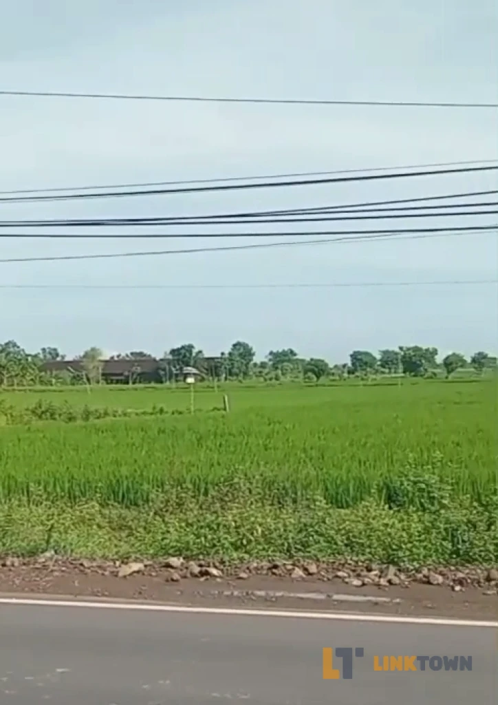 Tanah dengan Lokasi Strategis Dekat Tol di Balongpanggang Gresik