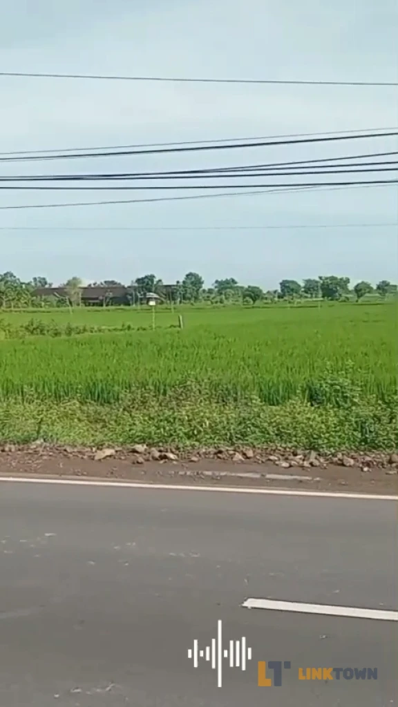 Tanah dengan Lokasi Strategis Dekat Tol di Balongpanggang Gresik