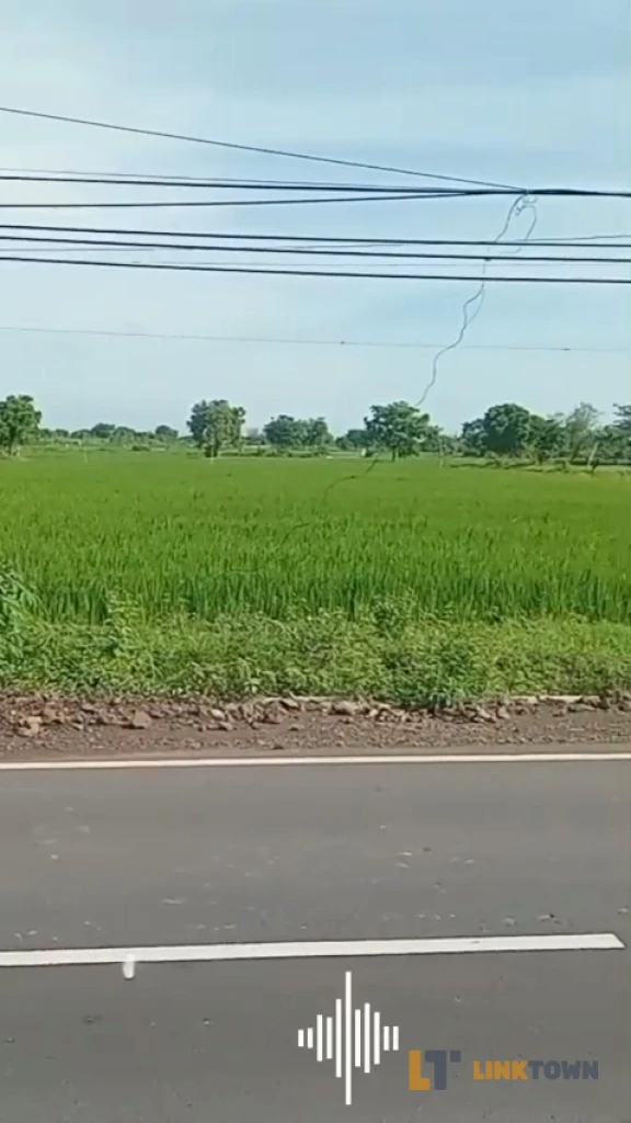 Tanah dengan Lokasi Strategis Dekat Tol di Balongpanggang Gresik