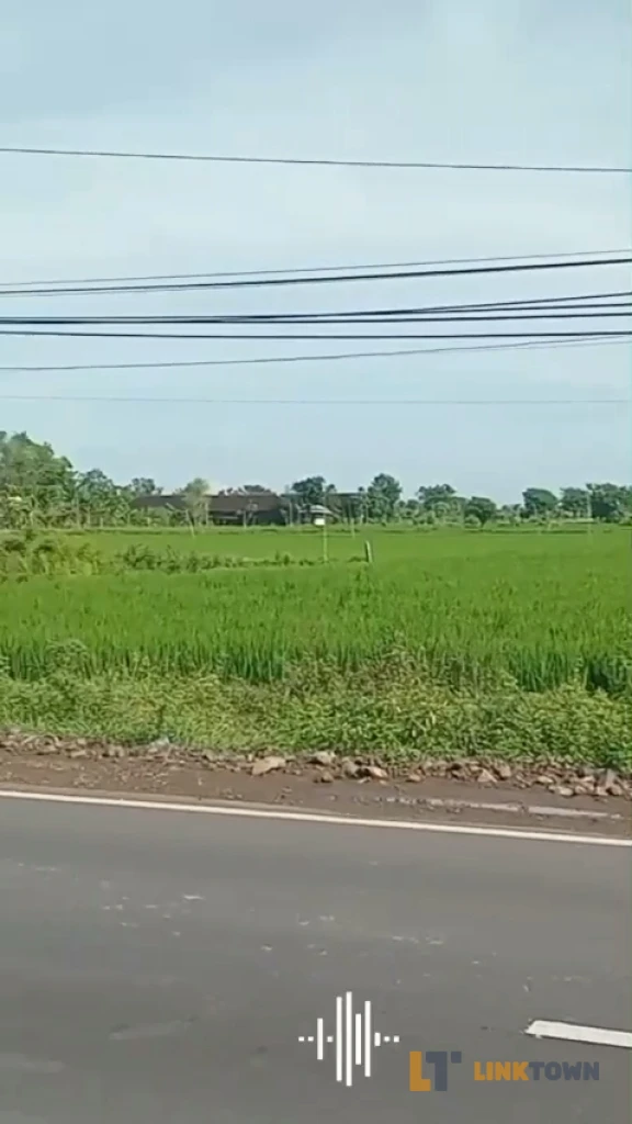 Tanah dengan Lokasi Strategis Dekat Tol di Balongpanggang Gresik